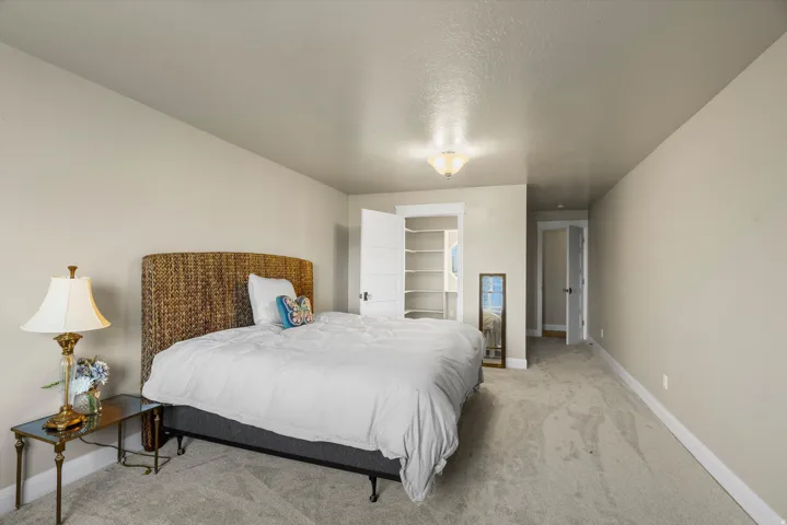 Carpeted room with neutral wall tones and a built-in closet with shelving