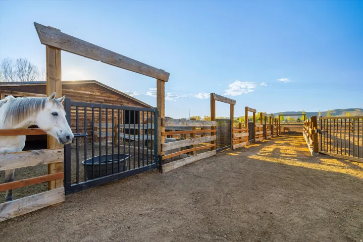 Expansive animal enclosure featuring rustic wood fencing, multiple gated entry points, and a wooden barn structure in the background