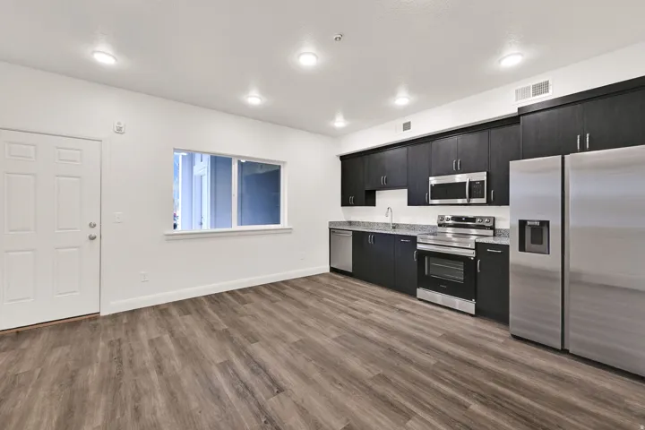 Open-concept kitchen and living area featuring wood-finish flooring, dark wood cabinetry, stainless steel appliances, and recessed lighting
