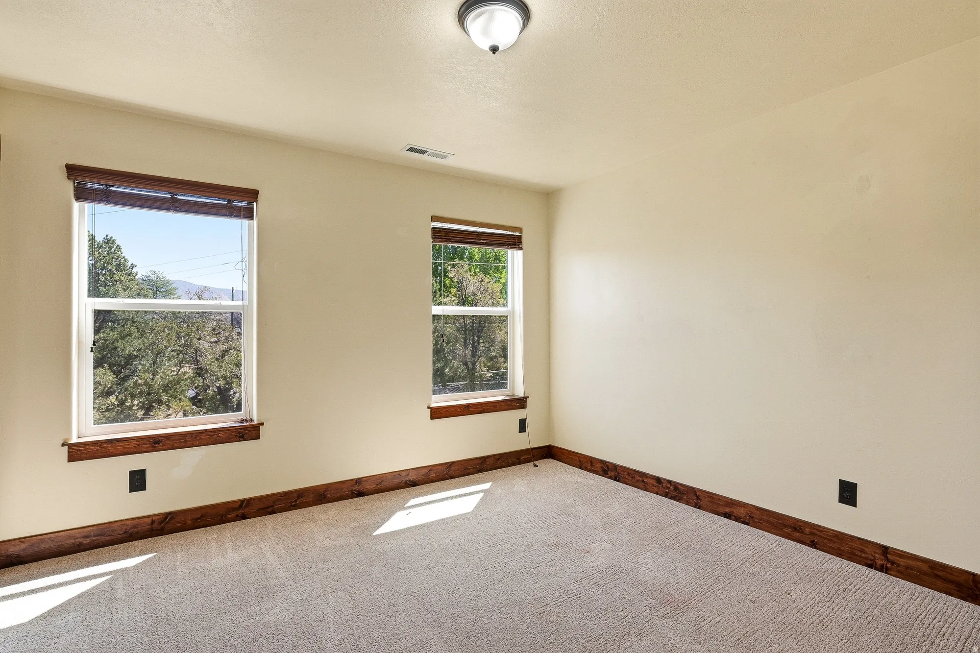Carpeted room featuring two windows with wood-trim sills and cornices, light cream walls, and dark wood baseboards