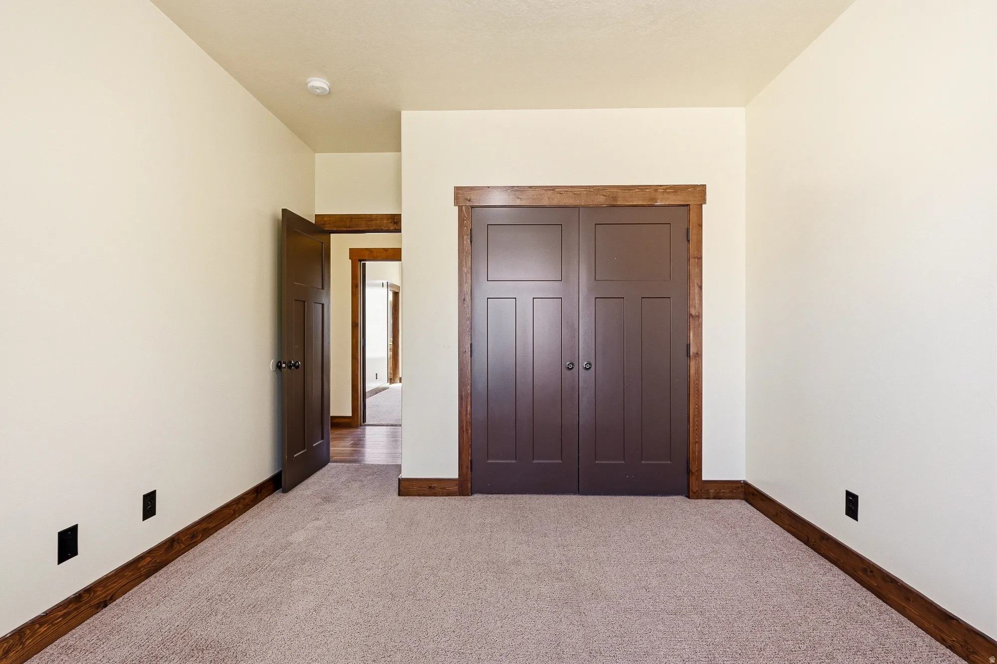 Neutral-toned carpeting paired with white walls, dark wood trim, and a matching paneled closet