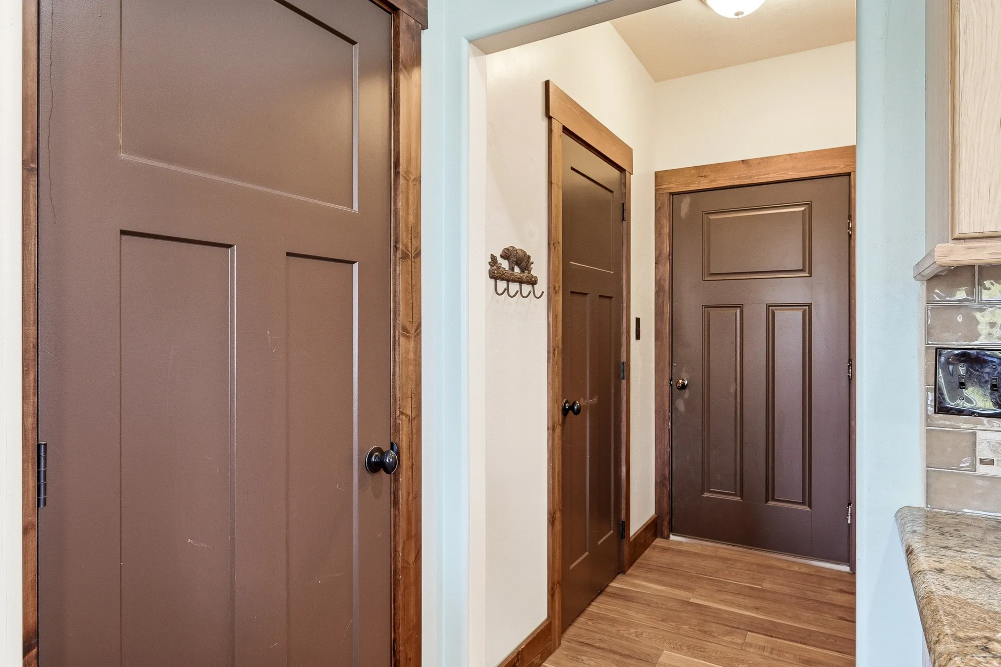 Interior hallway featuring rich brown paneled doors with black hardware, warm wood-finish flooring, and light blue wall tones