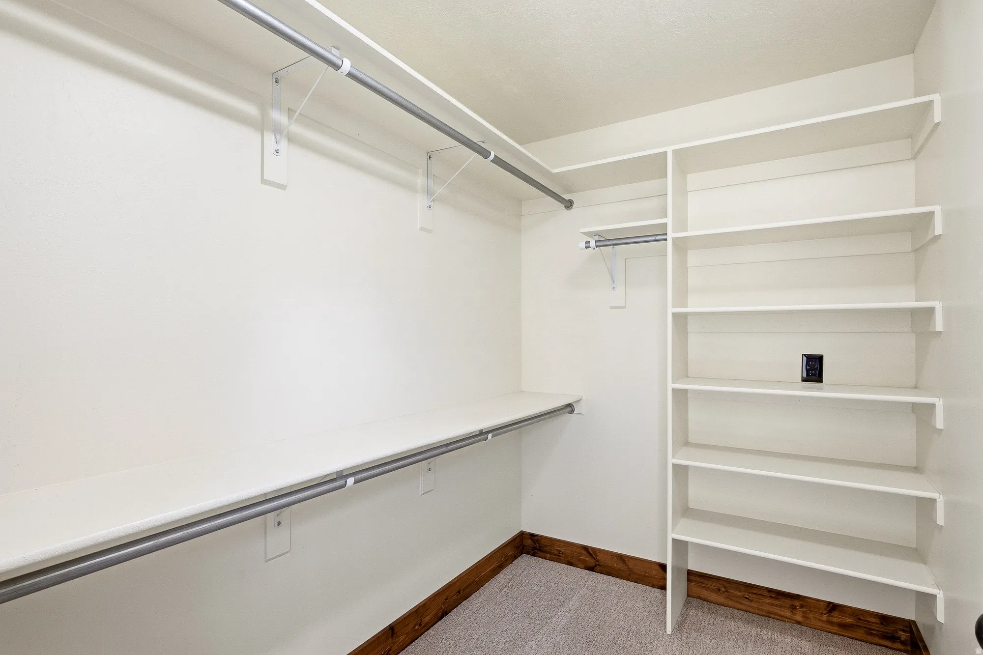 Spacious walk-in closet featuring white built-in shelving, multiple hanging rods, and a neutral carpet