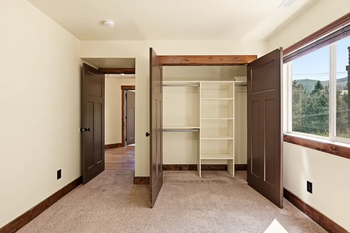 Carpeted room featuring a built-in closet with shelving and hanging rods, dark wood-finish trim, and a window offering an outdoor landscape