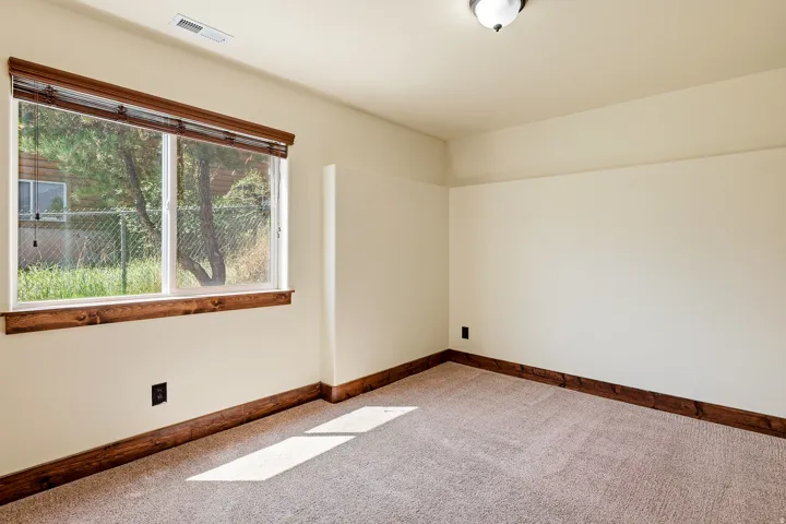 Carpeted interior space featuring a large window with wood trim, wood-toned baseboards, and a ceiling-mounted light fixture