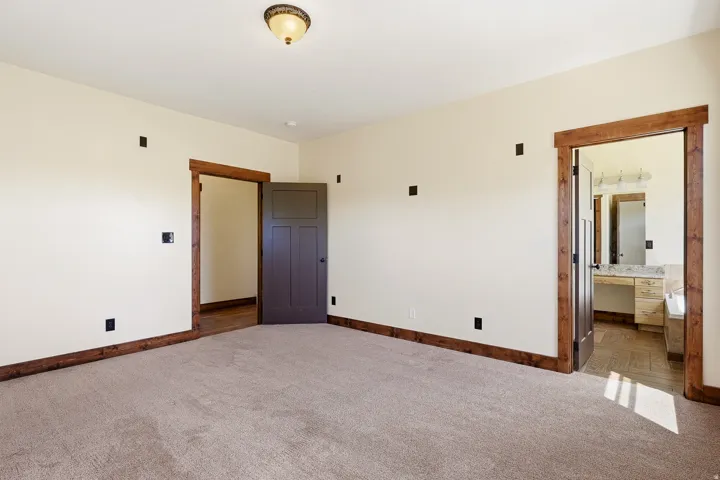 Carpeted room featuring light-toned walls, wood-finish door frames, and a dark brown paneled door