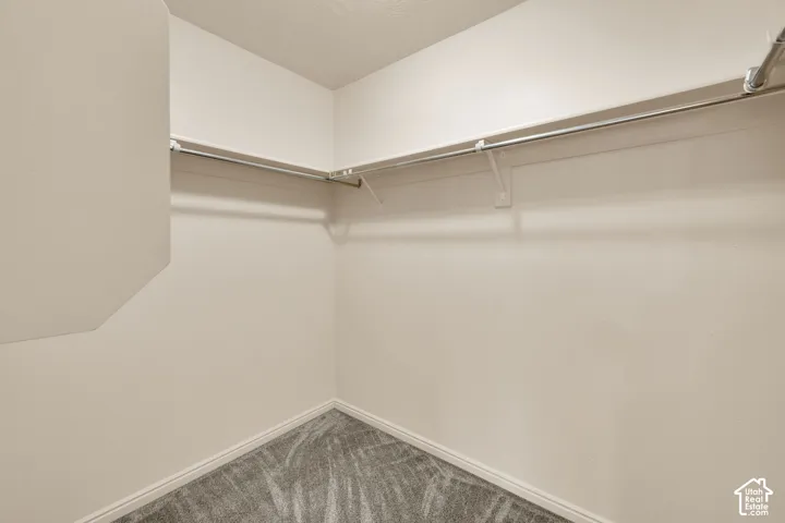 Closet space featuring neutral-toned walls, white trim, and a gray patterned carpet