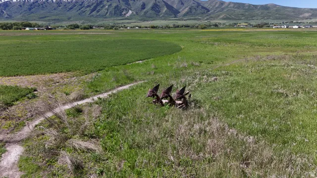 Expansive agricultural land featuring a dirt path, varied green vegetation, and distant snow-capped mountains