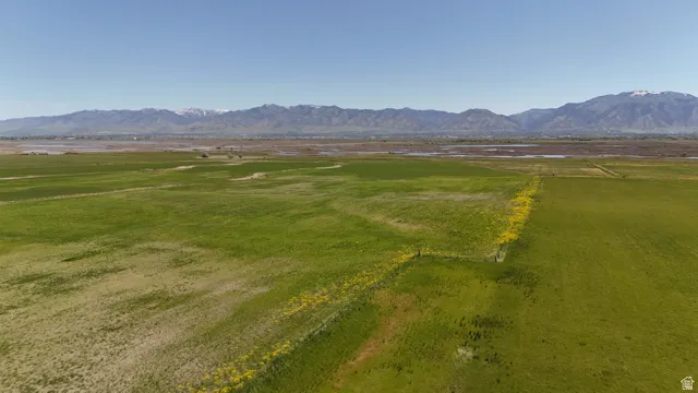 Expansive green fields under a clear sky