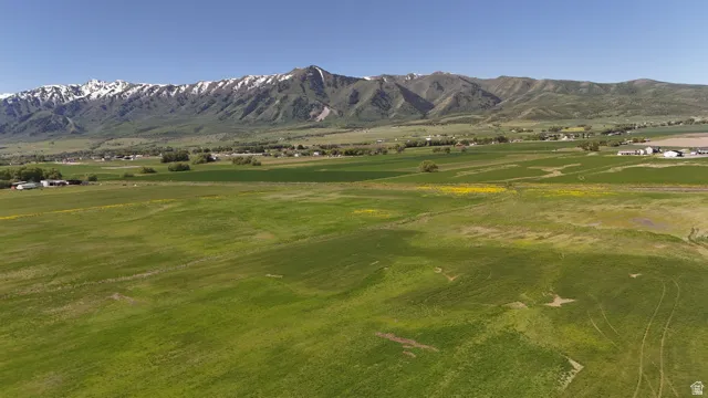 Expansive green fields with scattered yellow wildflowers, bordered by a distant mountain range featuring snow-capped peaks