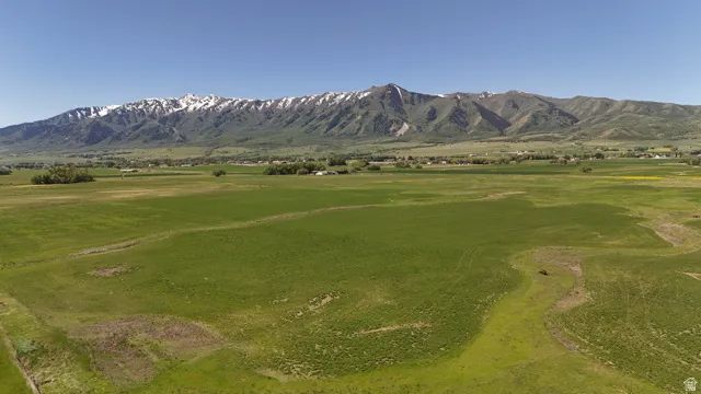 Expansive green fields with distant snow-capped mountains under a clear blue sky