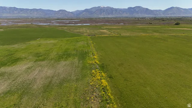 Expansive green fields featuring natural vegetation and distant mountains