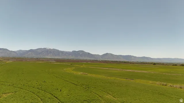 Expansive green fields extending towards distant mountains under a clear sky
