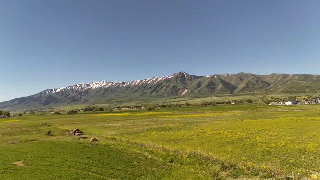 Expansive agricultural landscape featuring green fields, yellow flowering crops, and distant snow-capped mountains