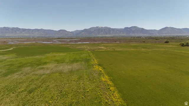 Expansive green fields featuring a clear pathway, bordered by yellow wildflowers, with distant mountains under a bright sky