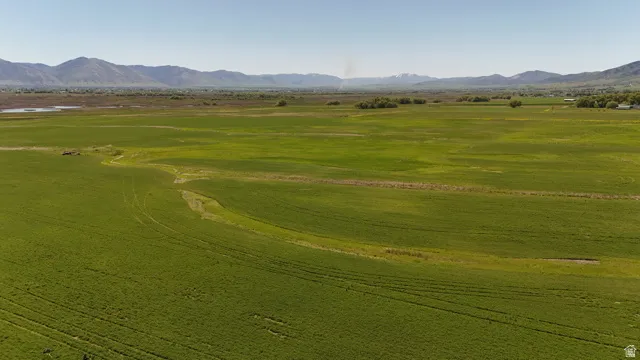 Expansive green agricultural land with visible crop rows