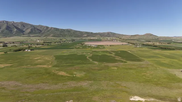 Expansive agricultural land featuring a verdant landscape and distant mountain ranges