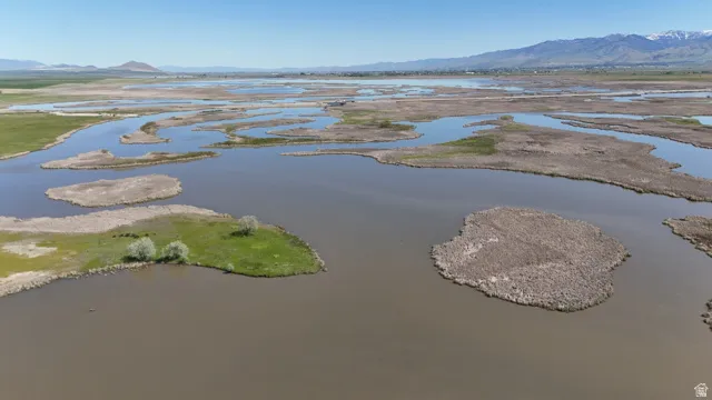 Expansive wetlands featuring varied vegetation, water channels, and distant mountains