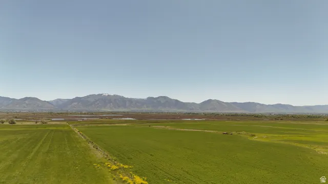 Expansive agricultural fields under a clear sky