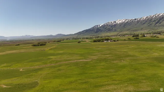 Expansive green fields with a snow-capped mountain range backdrop