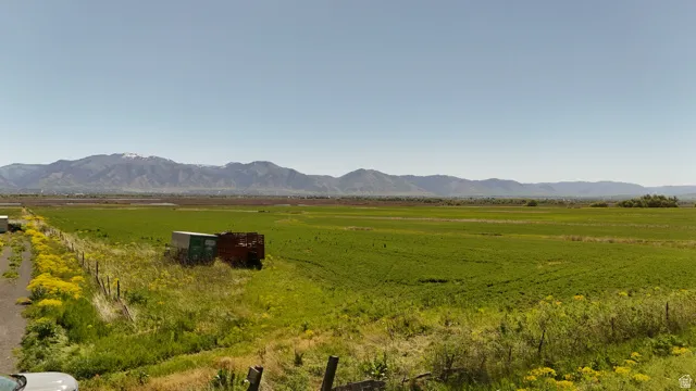 Expansive green fields extending towards distant mountains under a clear sky