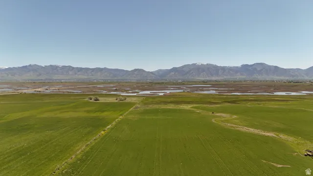 Expansive green fields with distant mountains under a clear sky