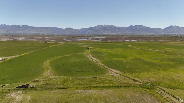 Expansive green fields under a clear sky, featuring distant mountains with snow-capped peaks