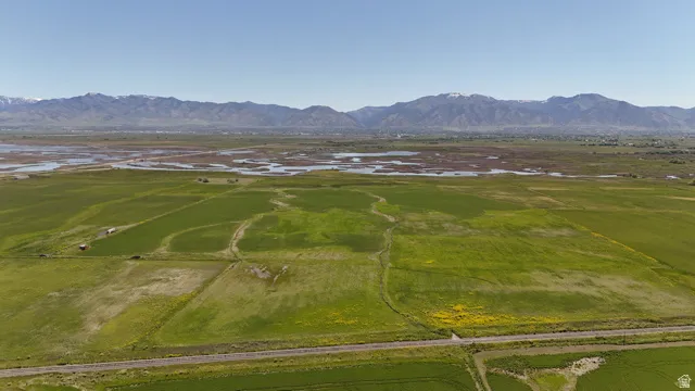 Expansive open fields with varied green vegetation