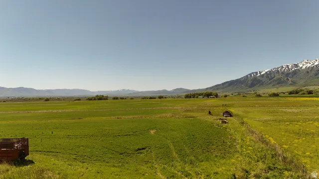 Expansive green fields featuring distant snow-capped mountains and a clear sky