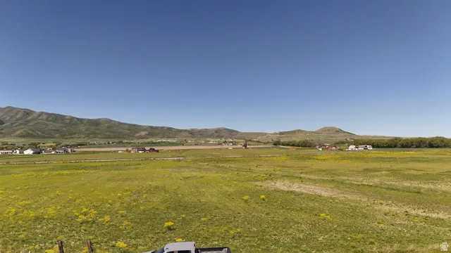 Expansive green landscape with distant mountains