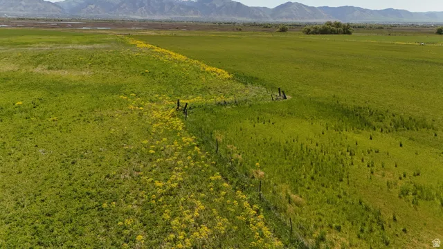 Expansive green acreage featuring natural vegetation and distant mountain ranges