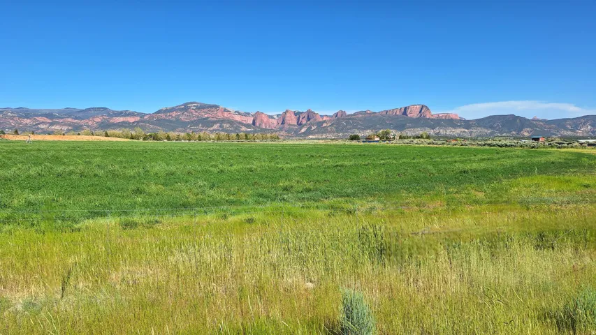 Expansive green field under a clear sky
