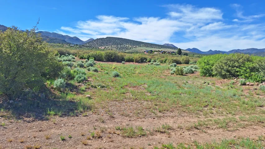Expansive open land featuring natural vegetation and distant mountain ranges under a clear sky