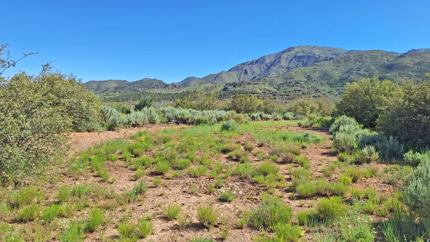 Expansive open land with varied vegetation and distant mountains