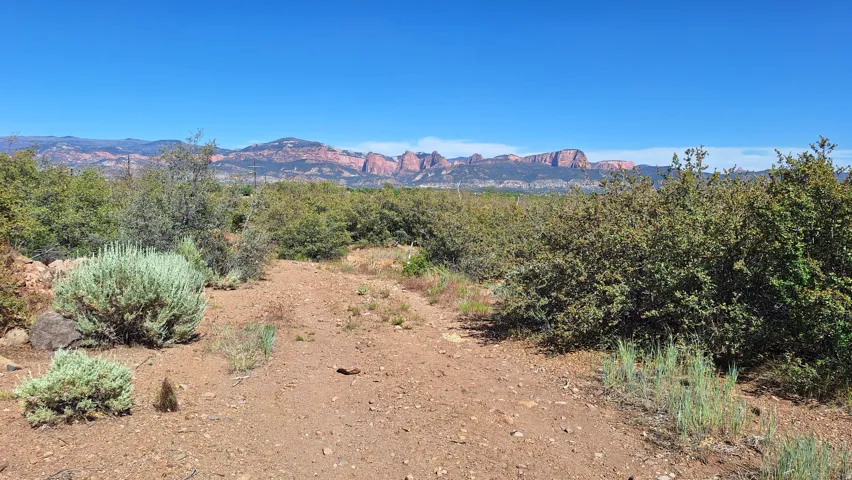 Expansive desert landscape featuring natural vegetation and distant mountain ranges under a clear sky
