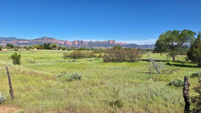Expansive grassy landscape featuring distant red rock mountains under a clear blue sky