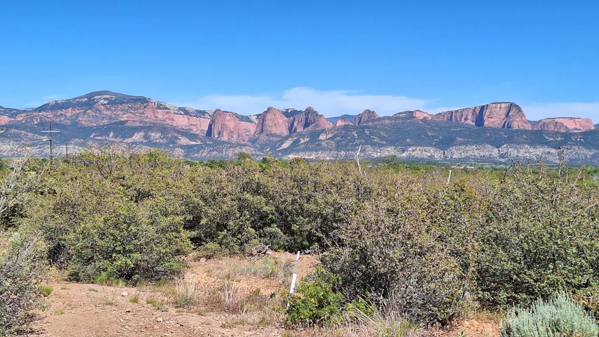 Desert landscape featuring distant red rock formations and varied scrub brush under a clear blue sky