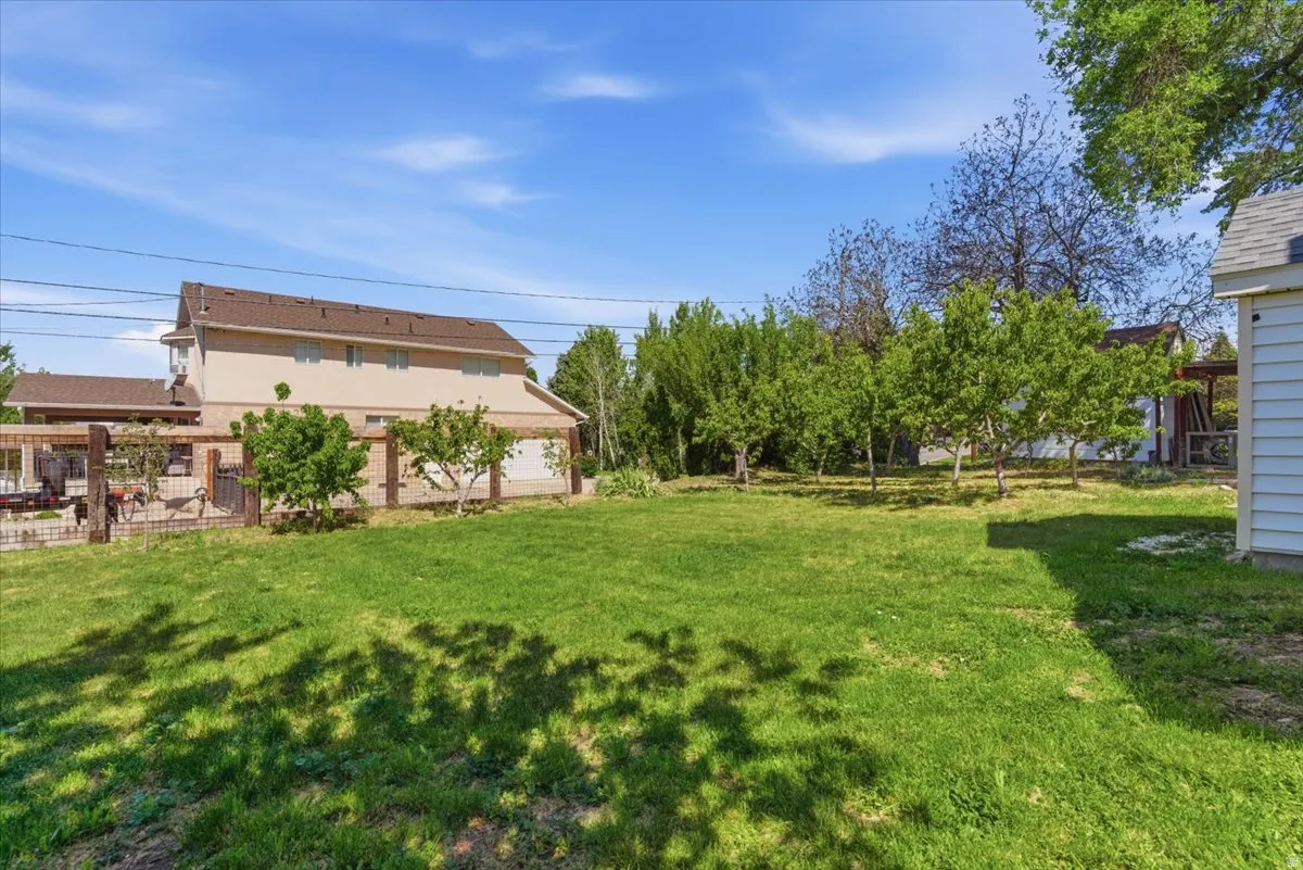 Expansive lawn area featuring mature trees and a detached shed