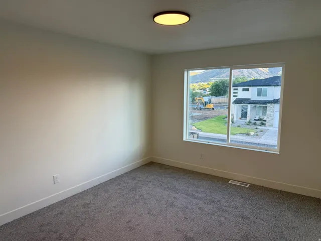 Neutral wall paint, carpeted flooring, large window, and ceiling-mounted light fixture