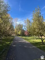 Paved driveway bordered by mature trees and manicured lawns