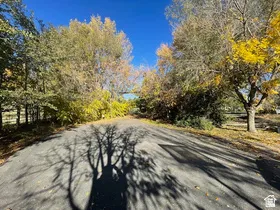 Paved driveway bordered by mature trees featuring autumnal foliage