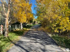Paved driveway bordered by mature trees and a rustic split-rail fence