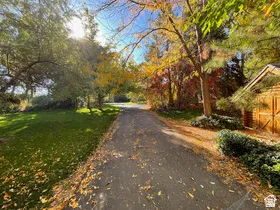 Paved driveway bordered by mature trees with seasonal foliage, featuring a manicured lawn on the left and a wood-sided structure with a gabled roof on the right