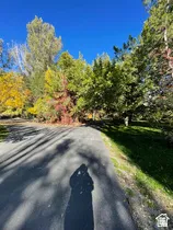 Paved driveway with bordering green lawn