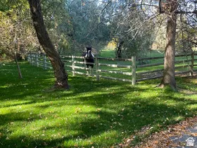 Spacious grounds featuring a split-rail fence, mature trees, and a lush green lawn