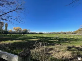 Expansive green field with mature trees bordering the perimeter