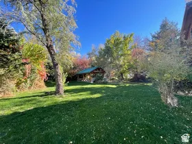 Expansive green lawn with mature deciduous trees and a visible log cabin structure featuring a green roof and covered porch