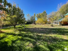 Expansive grassy area featuring mature trees and a partial view of a structure with a green roof