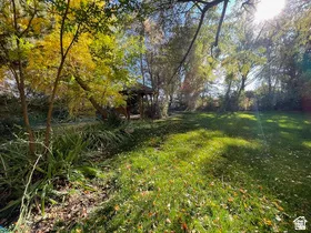 Expansive outdoor space featuring a lush lawn, mature trees with varied foliage, a wooden gazebo, and established ground cover