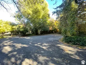 Paved surface surrounded by mature trees and varied foliage